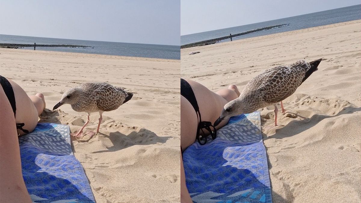 Rowena krijgt op het strand een bezoekje van haar nieuwe vriend