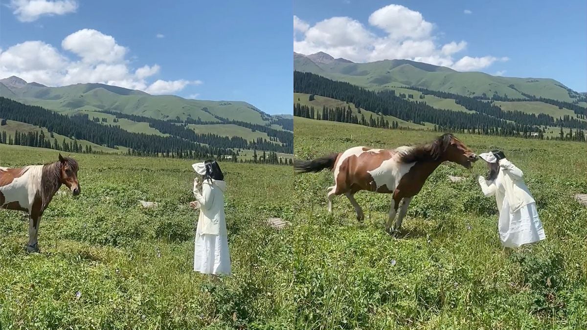 Vrouw in China snapt nu waarom je paarden niet kunt vertrouwen