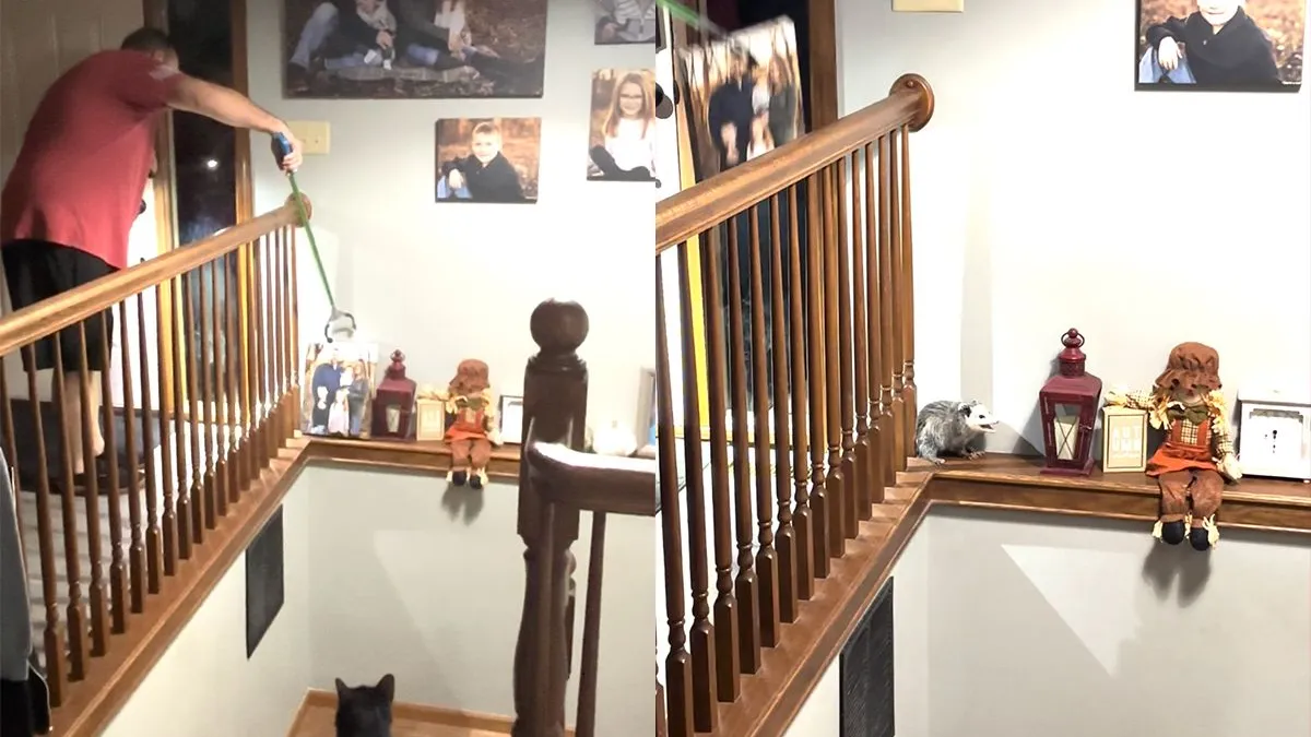 thumb vk buidelrat betaalt geen huur dus wordt het huis uitgezet