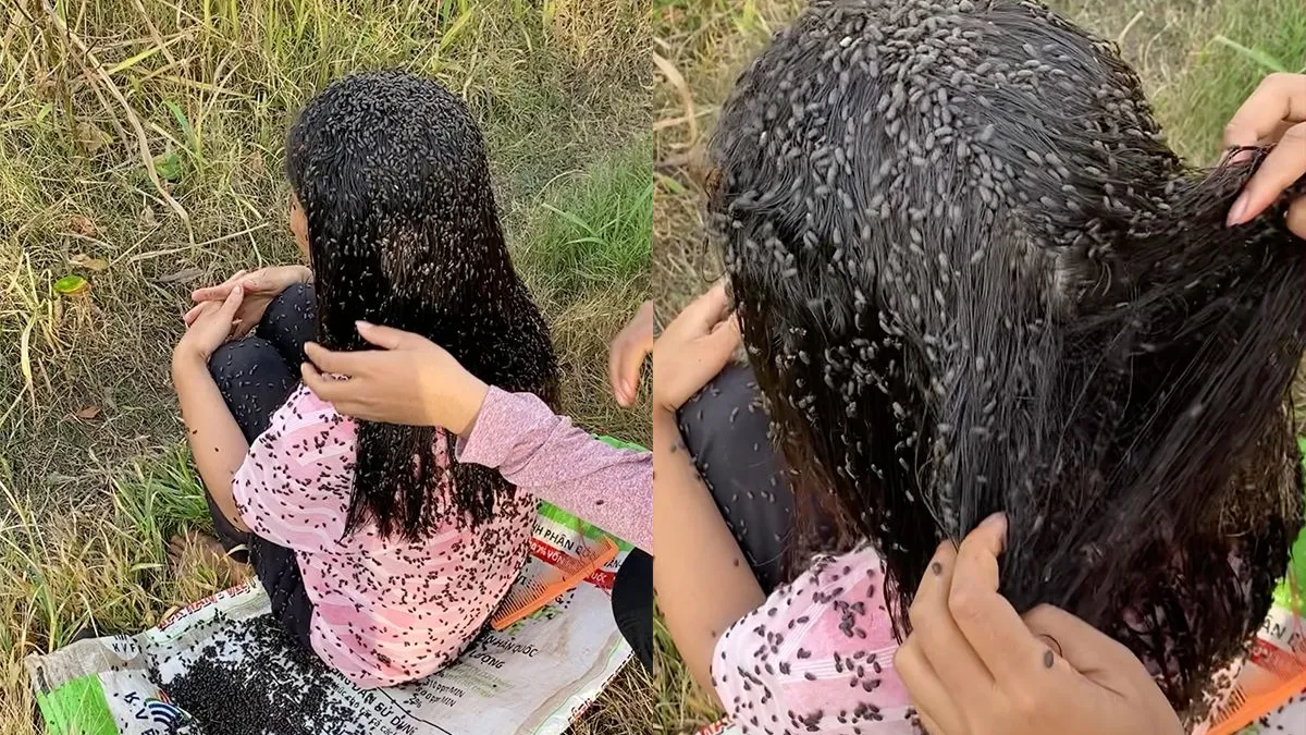 thumb vk mensen snappen niet hoe deze dame rustig kan blijven zitten