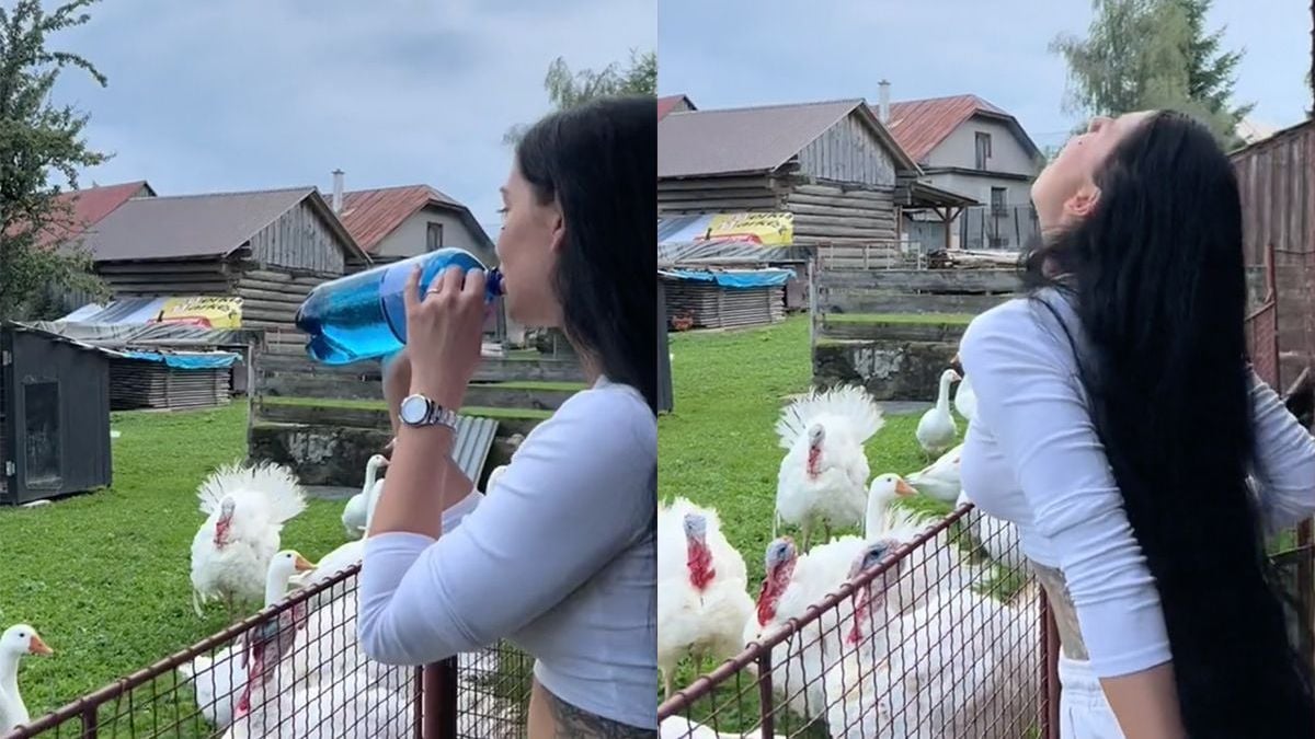 Nee, echt: deze vrouw kan met kalkoenen praten