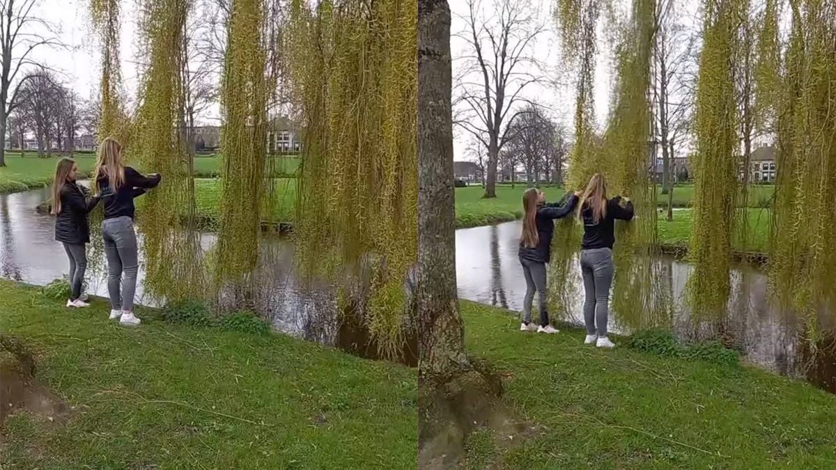 Ondertussen in Den Haag: Slingeren boven slootje gaat niet goed