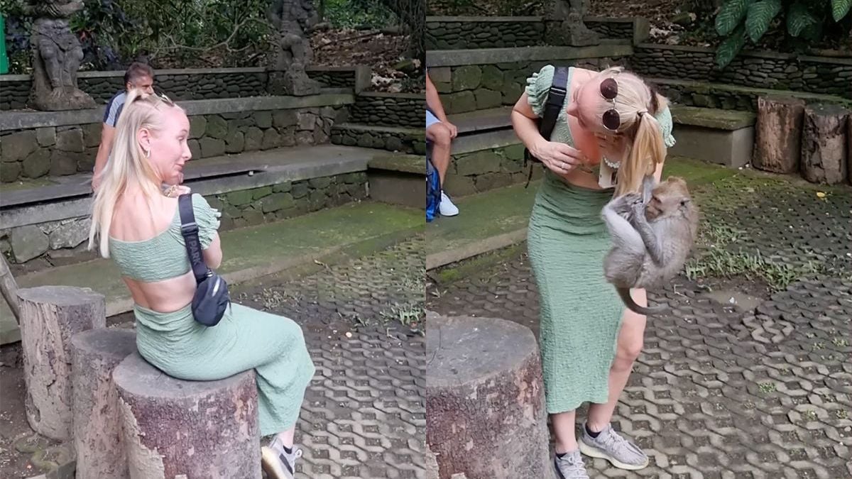 Aapje in Ubud op Bali hangt in haar van Nederlandse dame