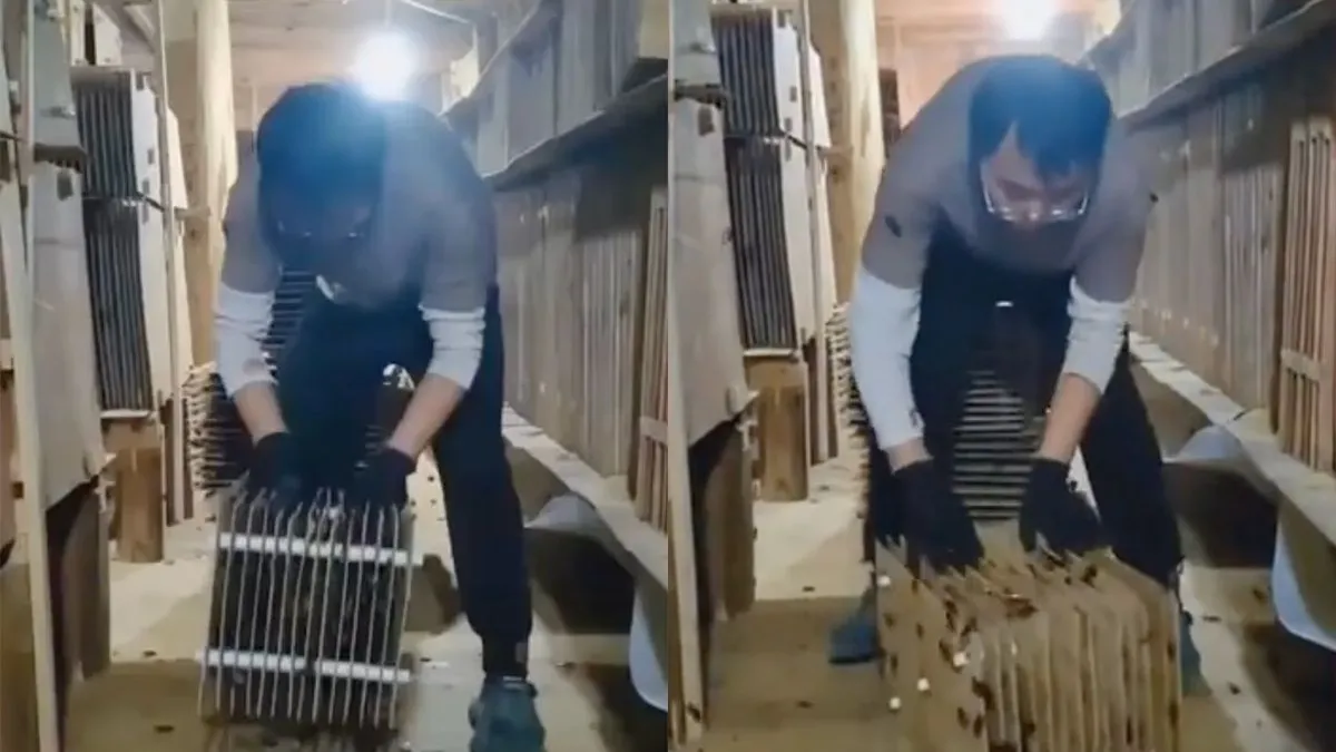 thumb vk de kakkerlakkenboerderij is geen geintje maar een serieuze business