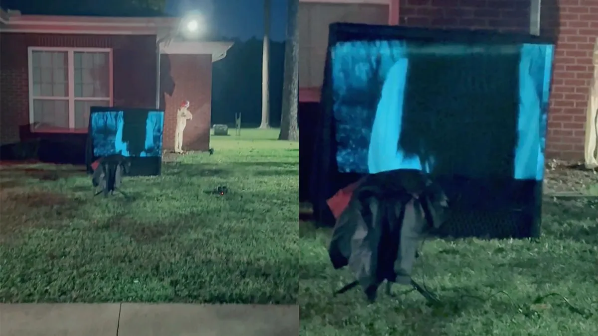 thumb vk hele buurt slaapt slecht nu levensechte scene uit the ring in een tuin staat