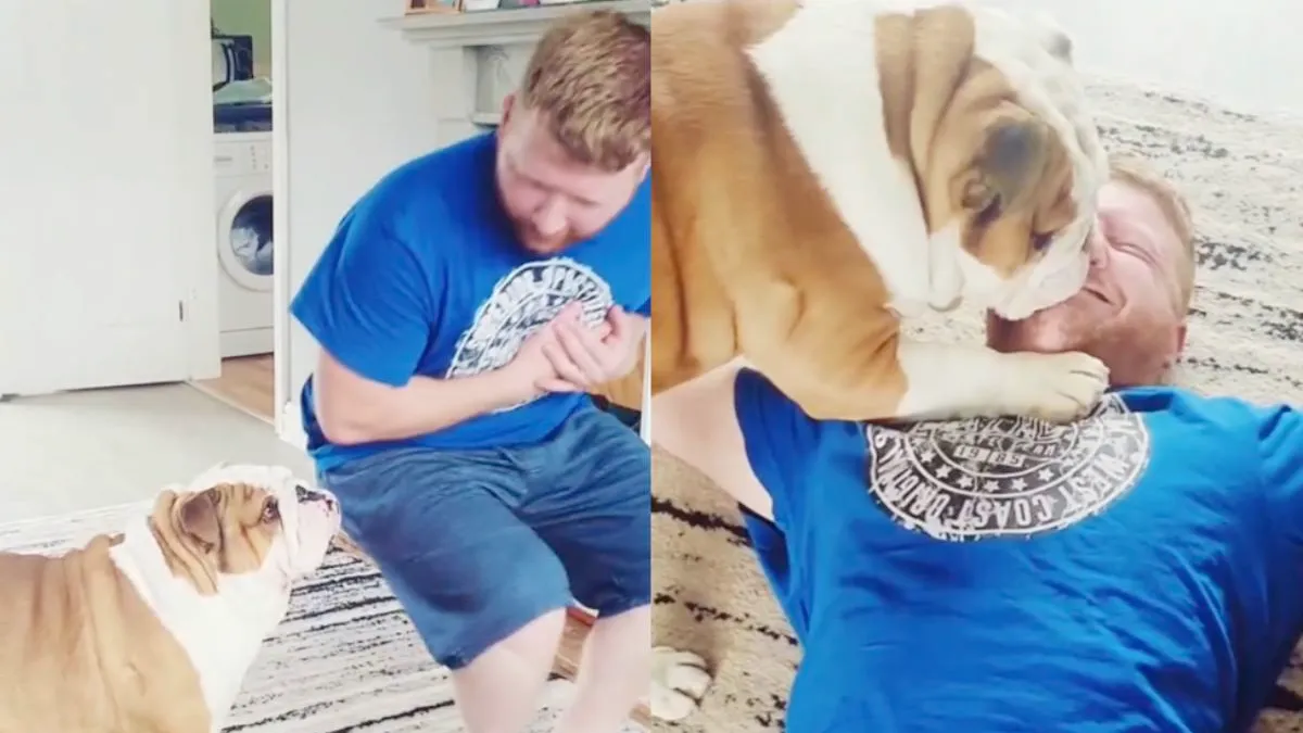 thumb bulldog a to m