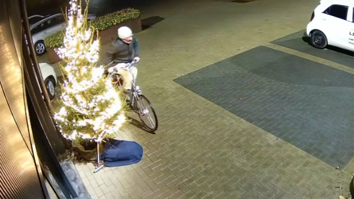 thumb vk dief jat kerstboom van autobedrijf in limburgse simpelveld