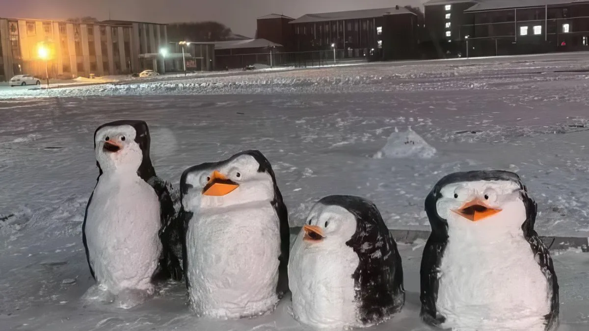 thumb vk gewoon fotos 2001