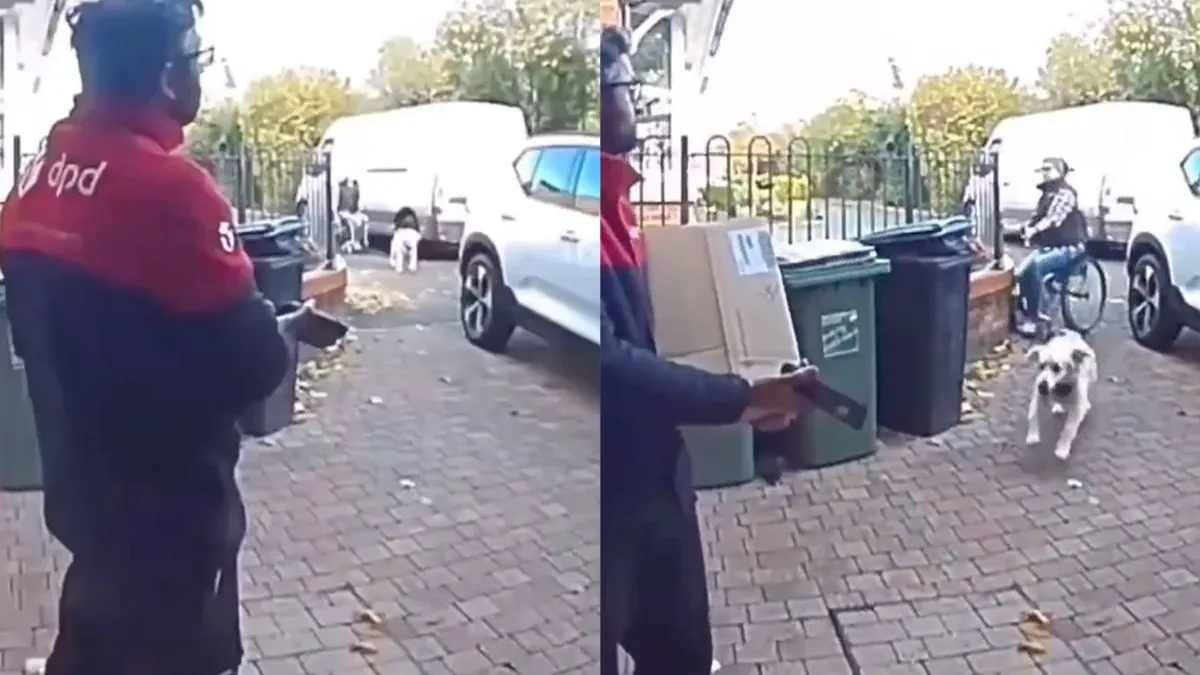 thumb vk hond uitlaten is een rolstoel is nog zo gemakkelijk niet
