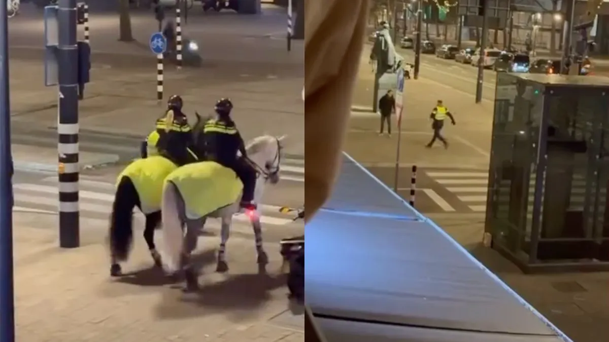 thumb vk stadhuisplein in rotterdam was weer gezellig op zaterdagavond agent heeft op judo gezeten