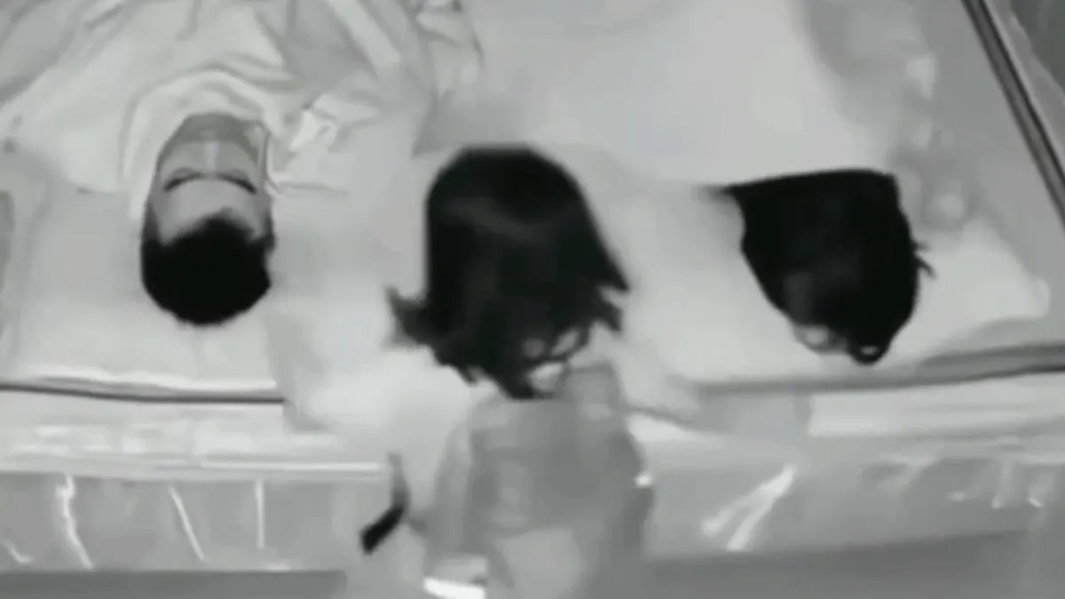 scherm afbeelding 2025 01 31 om 094505