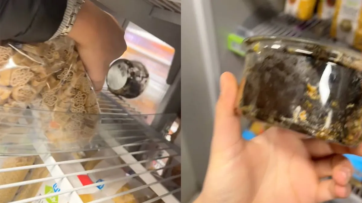 thumb vk bakje sla verstopt in vestiging albert heijn beschimmeld bakje na een jaar nog op dezelfde plek