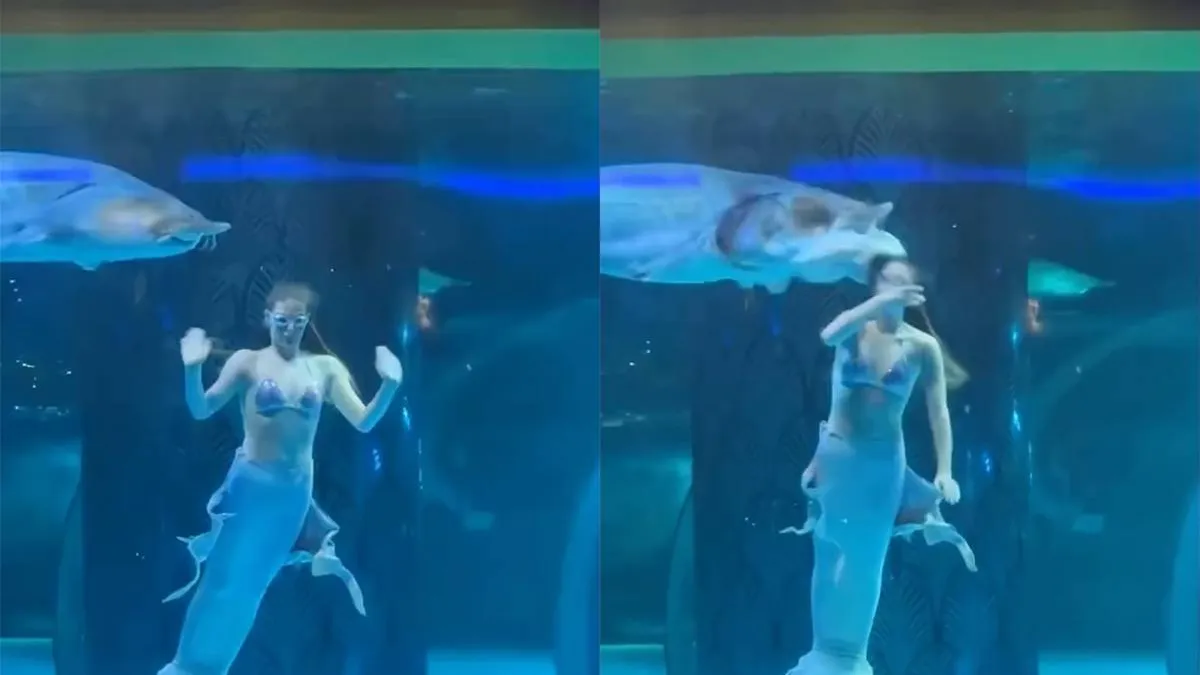 thumb vk beelden gaan viraal hoe een vrouw aangevallen wordt door een steur in chinees aquarium