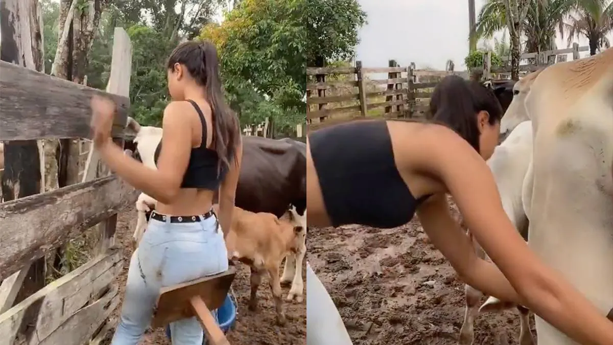 thumb vk de nieuwste trend is onlyfarms en daar hebben we niks op tegen