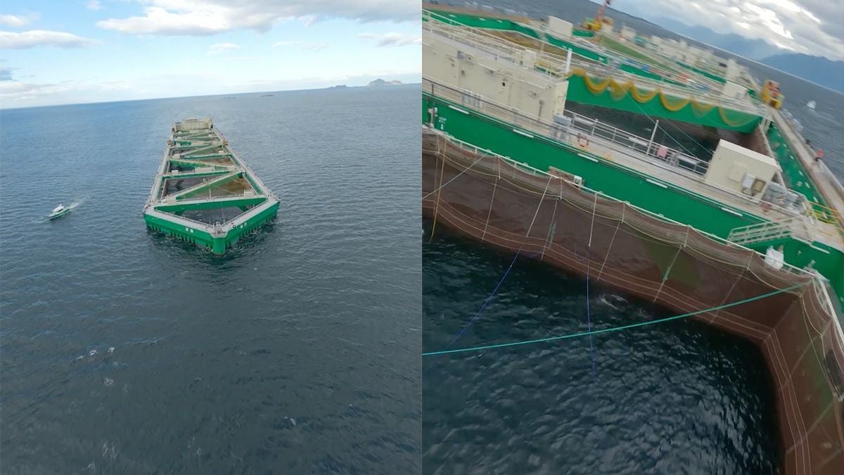 Omdat het kan: FPV-videootje boven een boot vol zalm