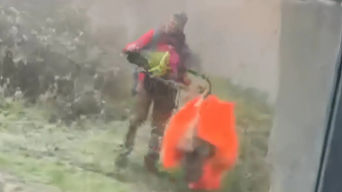thumb vk parachutist moest landen op middenstip voetbalveld maar landt in apenverblijf ouwehands dierenpark
