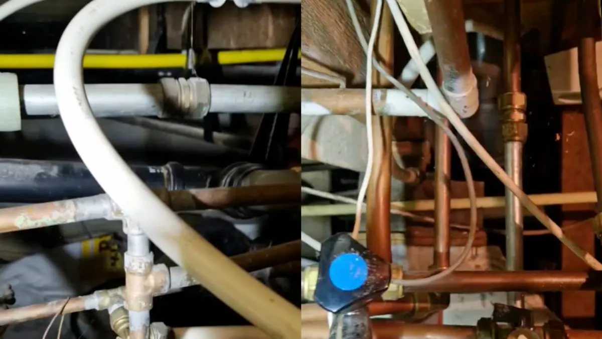 thumb bootloodgieter omfg