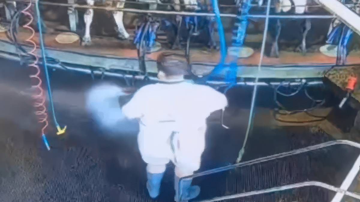 thumb vk boer is de stal aan het schoonmaken en voelt ineens iets warms in zijn nek
