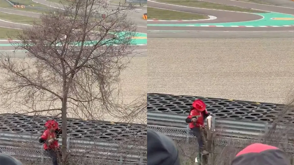 thumb vk ferrari fans gaan ver om sf 25 beter te kunnen zien zagen boom om bij circuit