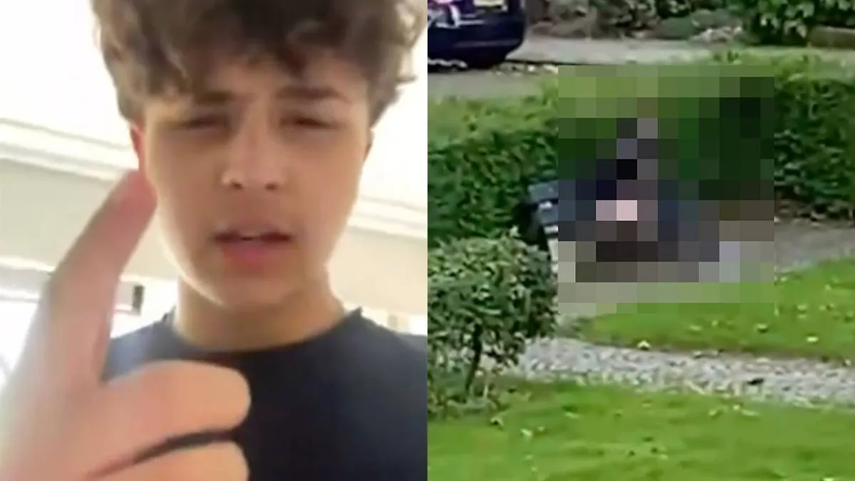 Wat zit er in het water in Terneuzen? Daar gebeuren rare dingen