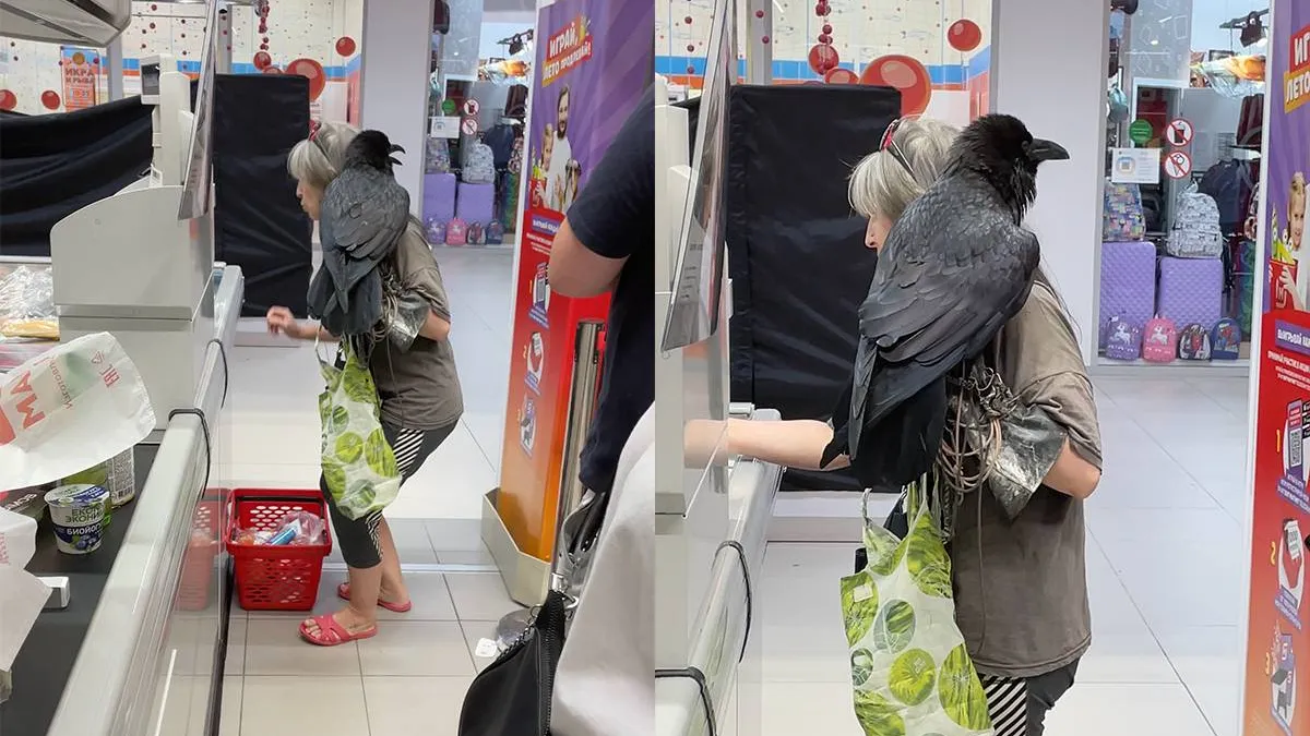 thumb vk creatief boodschappen doen met een kraai