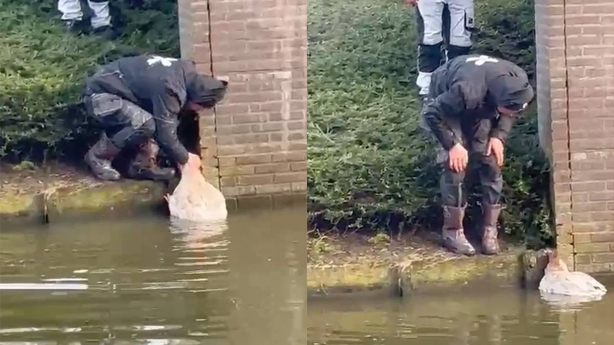thumb vk niet alle helden dragen een cape held maakt gans los