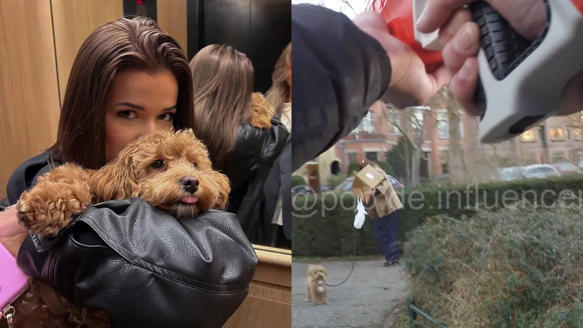 thumb vk tiktokker heeft als missie om influencers nat te maken jade anna is de eerste