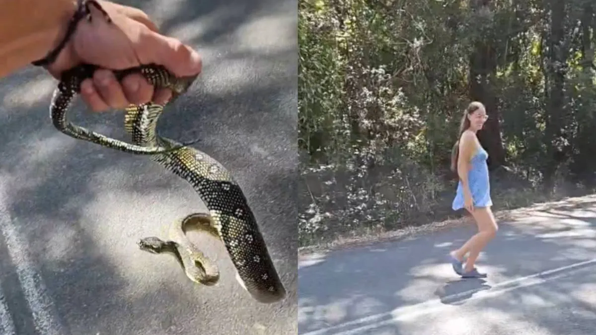 thumb snake and bips