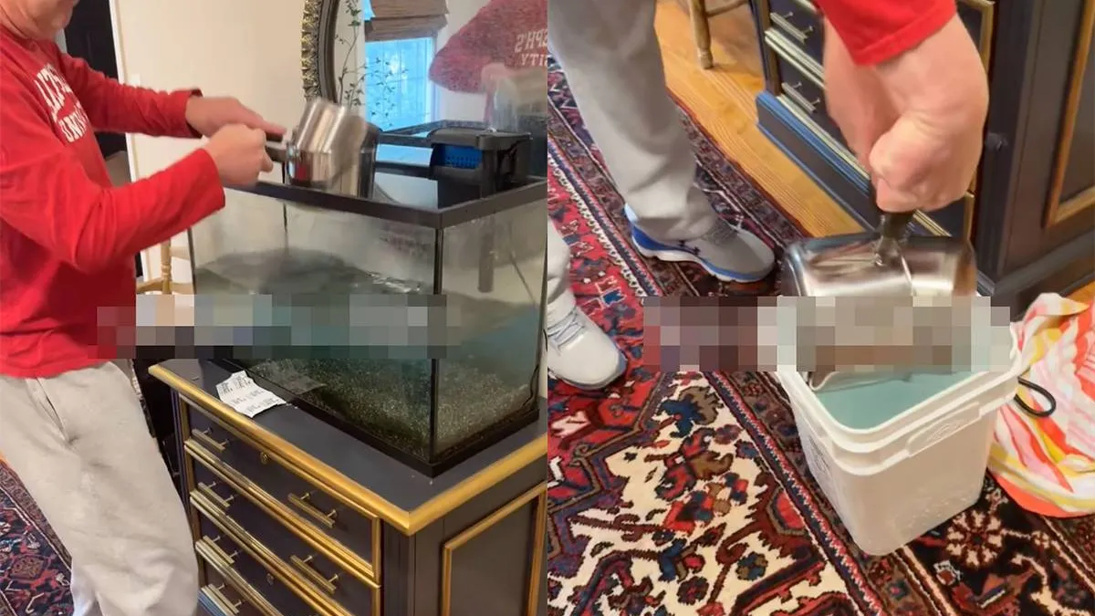 thumb vk daarom laat je lekker iemand anders het aquarium verschonen