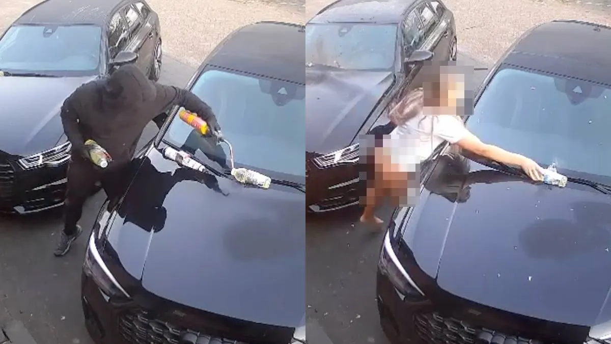 thumb vk man in wervershoof steekt koelbloedig 2 audis in de fik maar wait for it