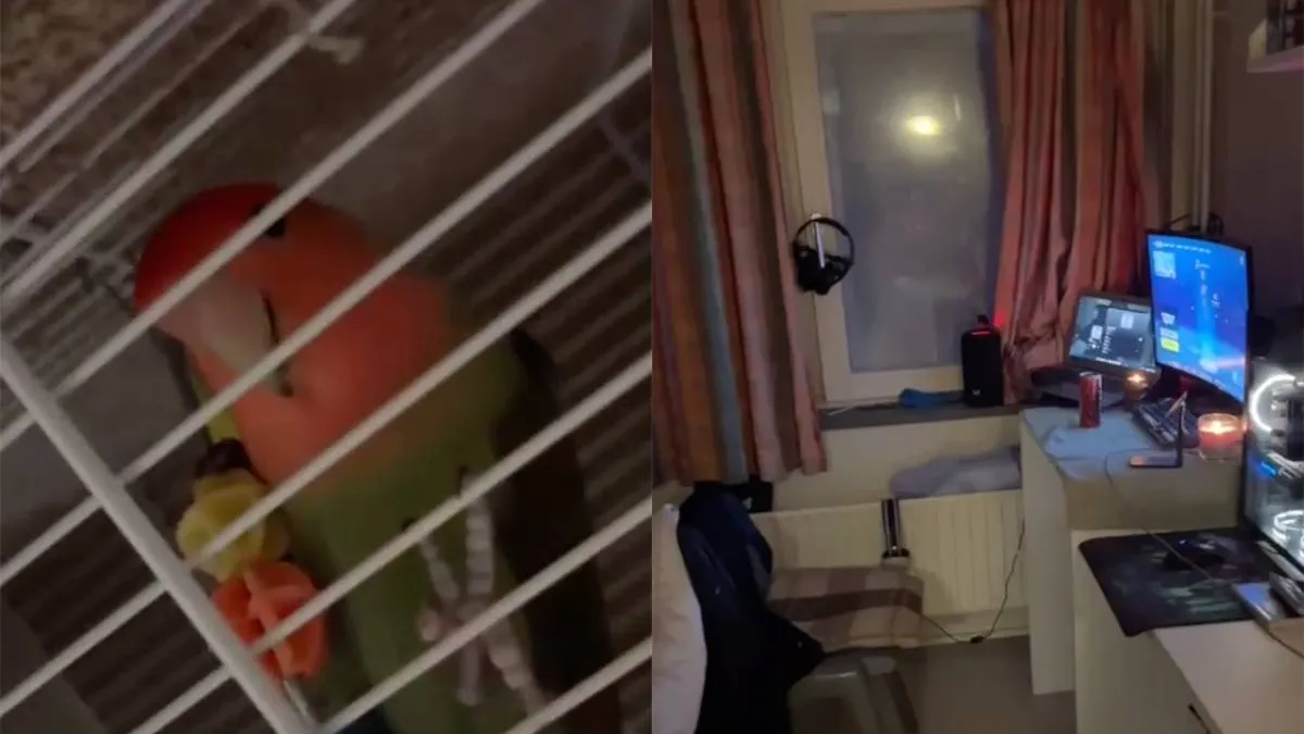 thumb vk penitentiaire inrichting pi zuid oost heeft meer weg van een hotel voor gamers