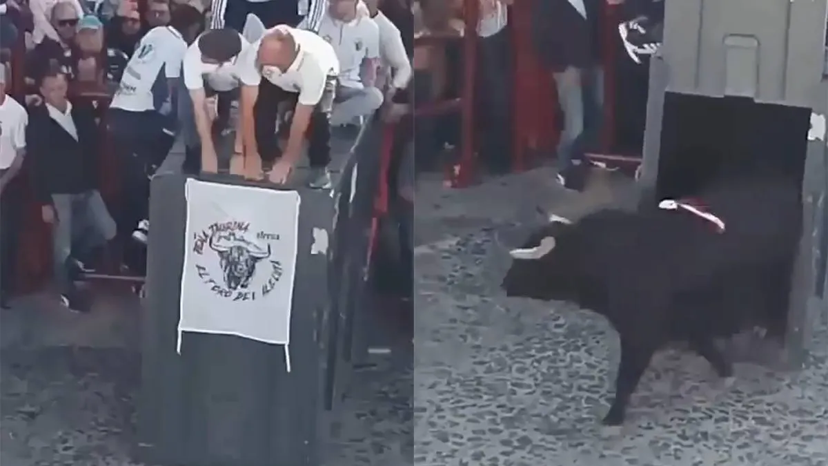 thumb vk toro terror 570 kilo stier breekt door veiligheidshekje en zaait paniek tijdens spaans paasfeest