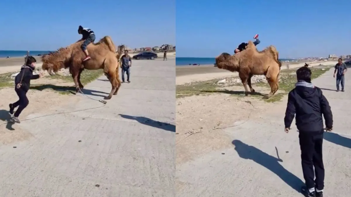 thumb kameeltje rijden