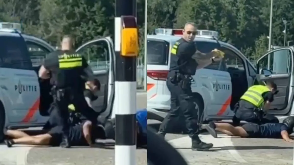 thumb schoppende agent