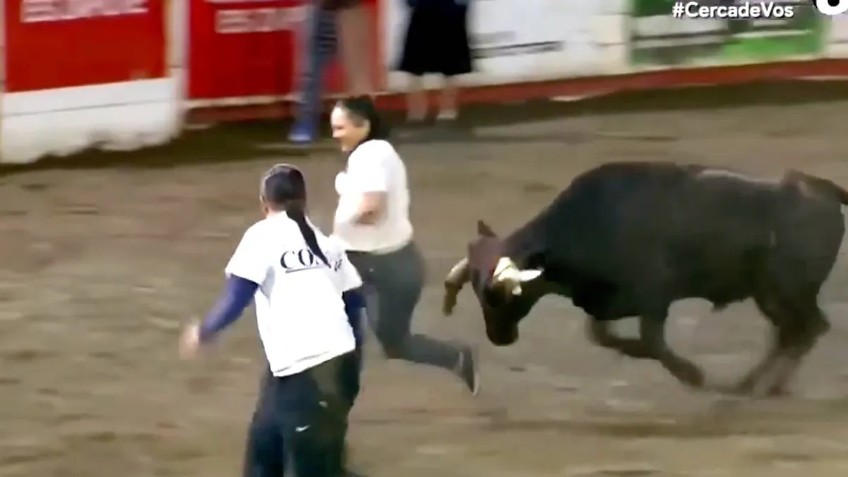 thumb vk domme dingen doen is domme prijzen pakken vrouw krijgt wedgie van een stier
