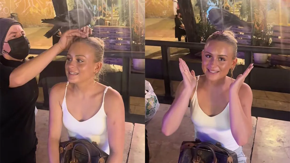 thumb vk lisa dacht dat het slim was om voor het uitgaan nog even een vogel op haar hoofd te zetten