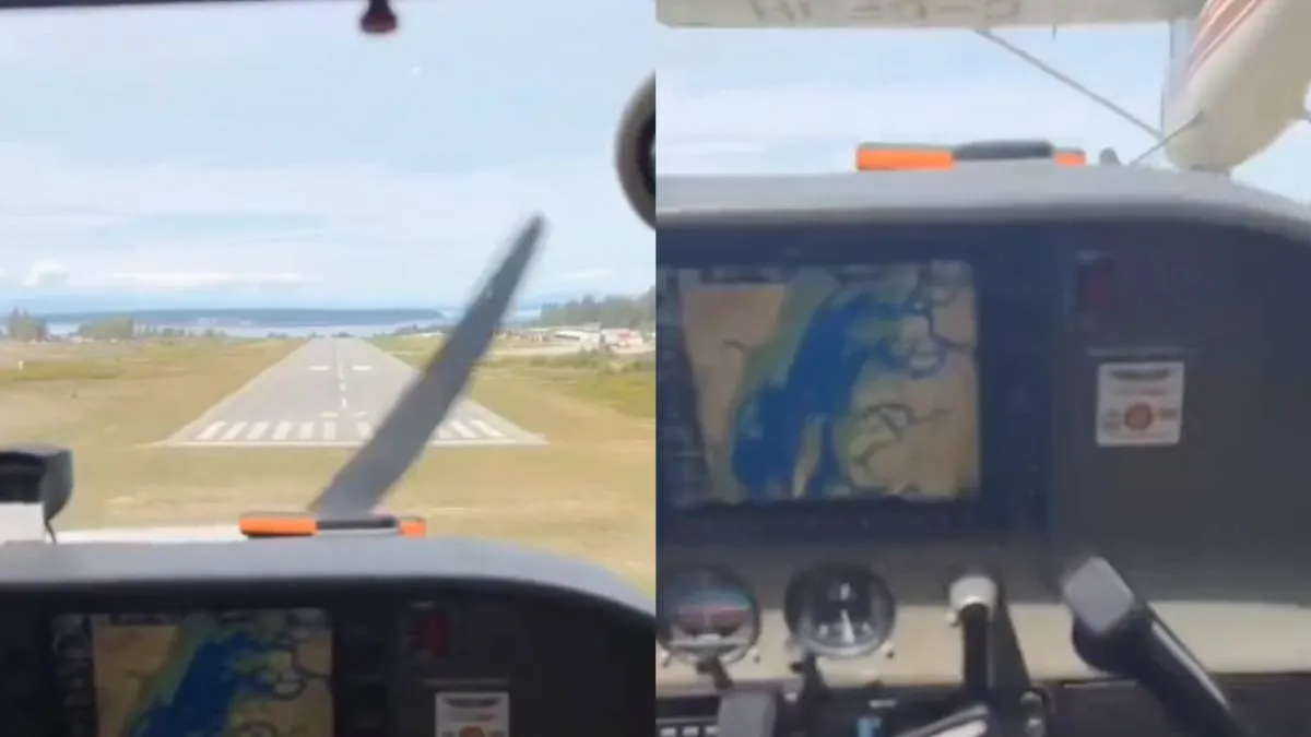 thumb wt plane