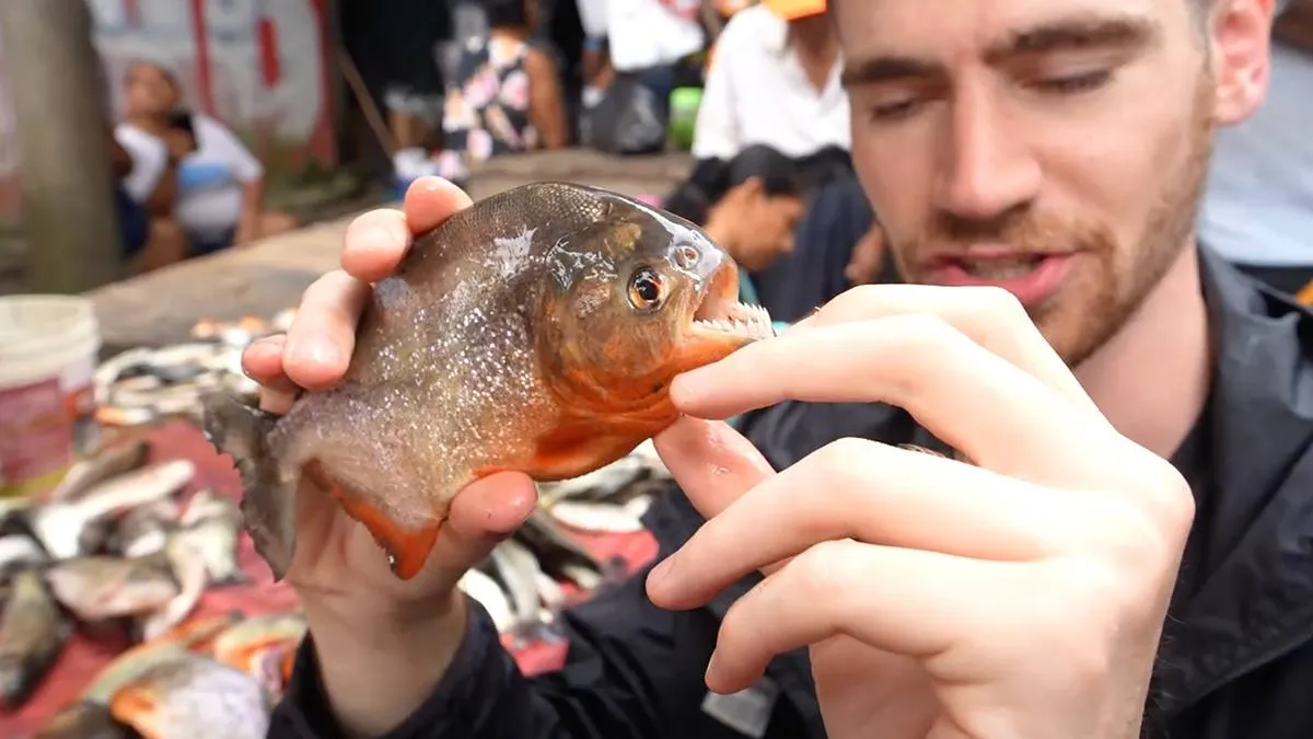 thumb vk bizar vloggers laten grootste illegale dierenmarkt van peru zien