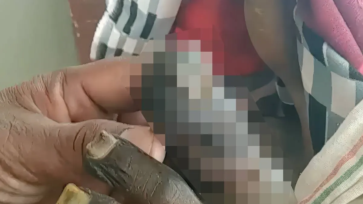 thumb vk even een teen bij ali kopen deze is vergaan