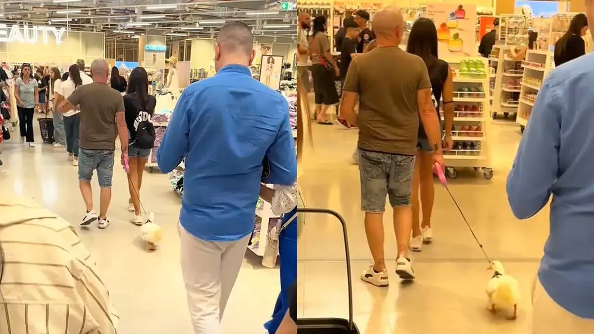 thumb vk niet je hond maar even iets anders uitlaten bij de primark