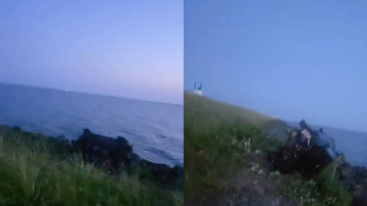 thumb vk sta je toch even te kijken als je total loss auto vindt bij oostvaardersplassen