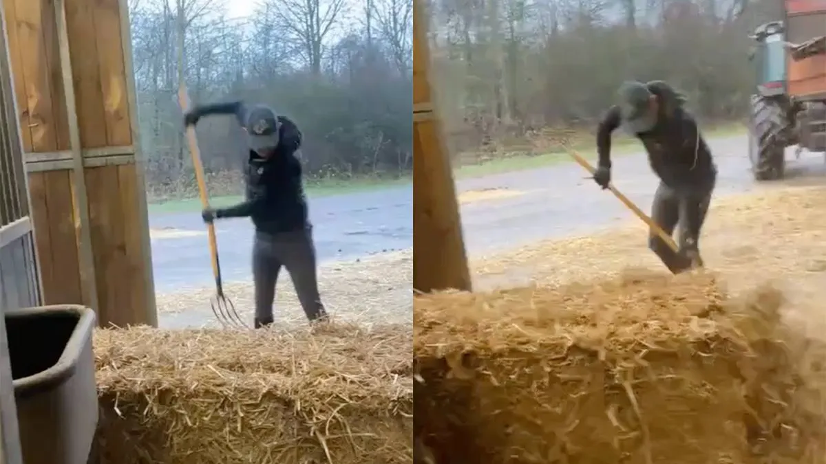 thumb vk viraal gaan is ook gaan maar hooivork in je enkel rammen doet wel pijn