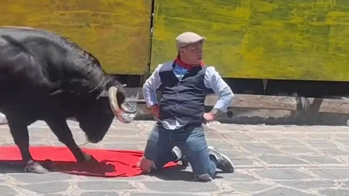 thumb_mex_bull_hit