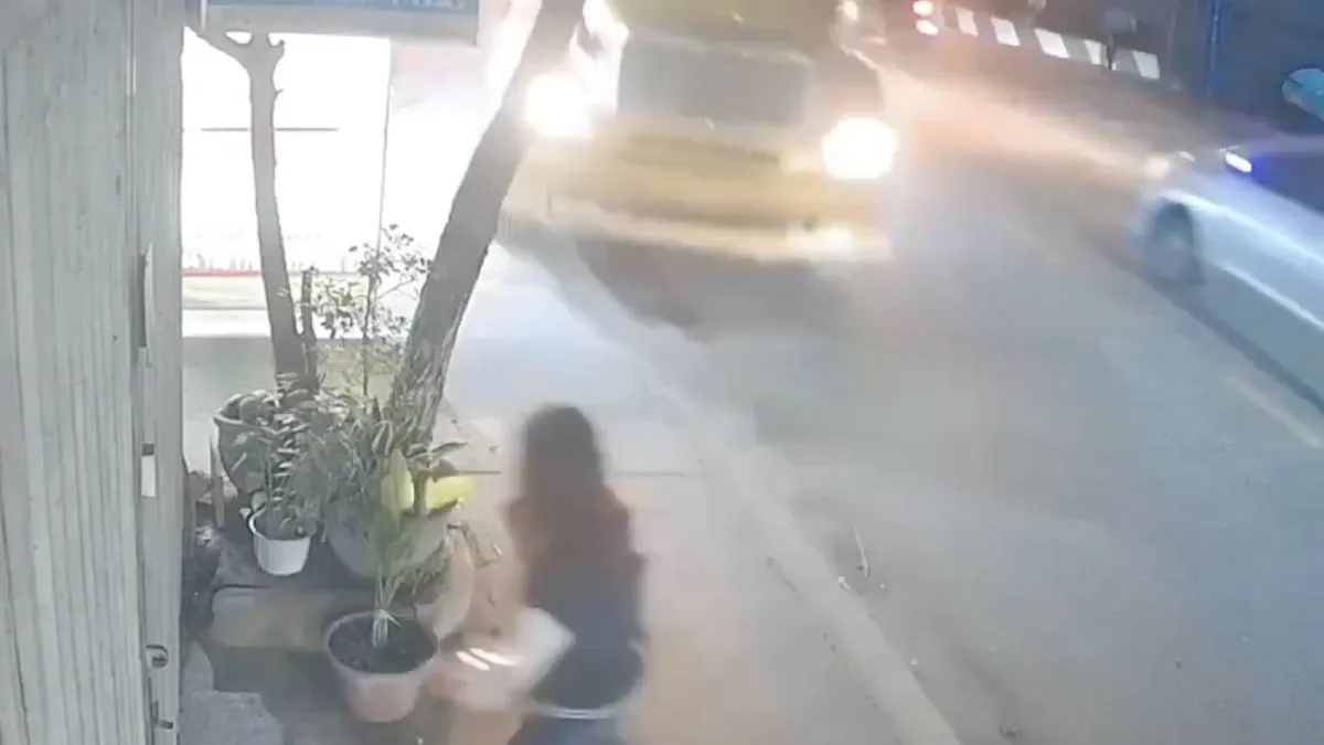 thumb vietnam boompje