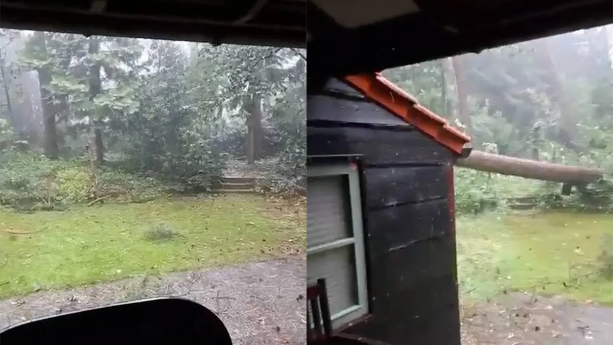 thumb vk boom trekt noodweer niet en valt door dak van huis