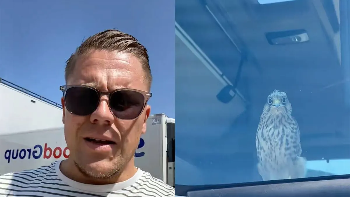 thumb_vk_Chauffeur_heeft_visite_van_een_baby_valk_in_de_cabine