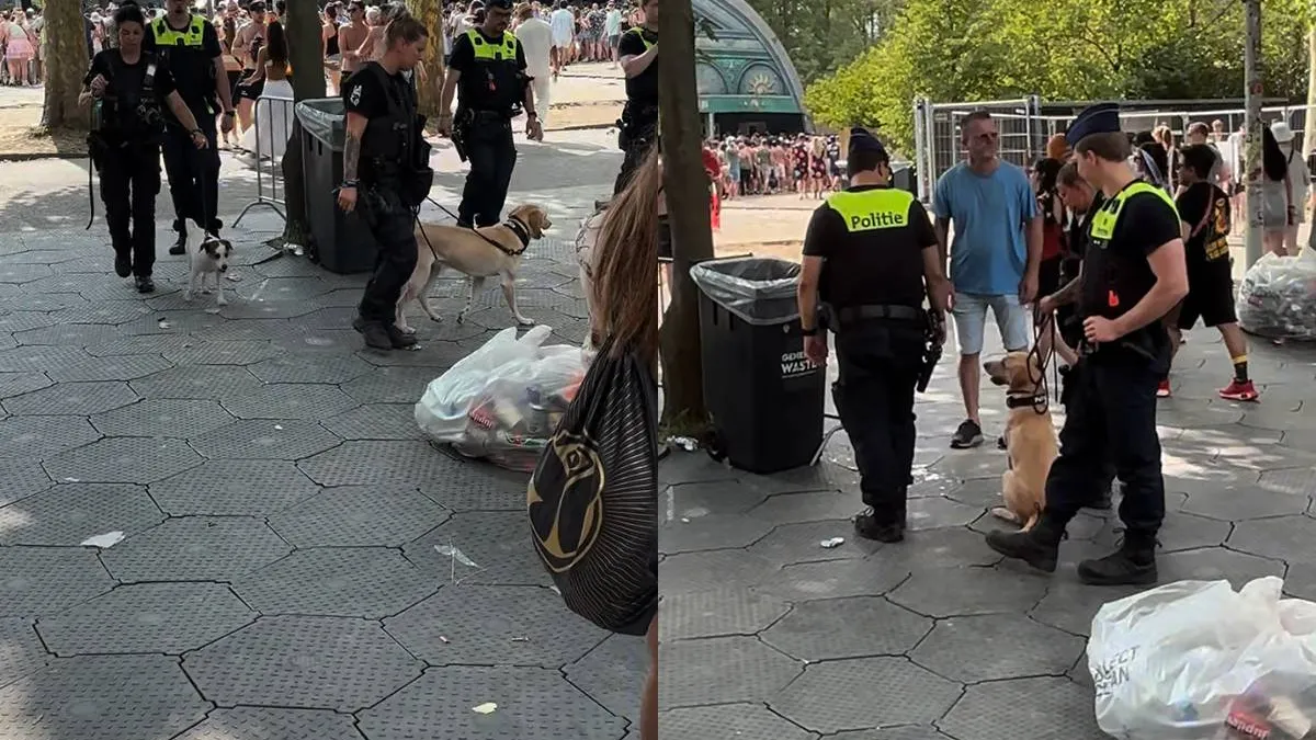 thumb_vk_Verbaasde_reacties_op_het_feit_dat_de_politie_met_honden_rondloopt_op_Tomorrowland