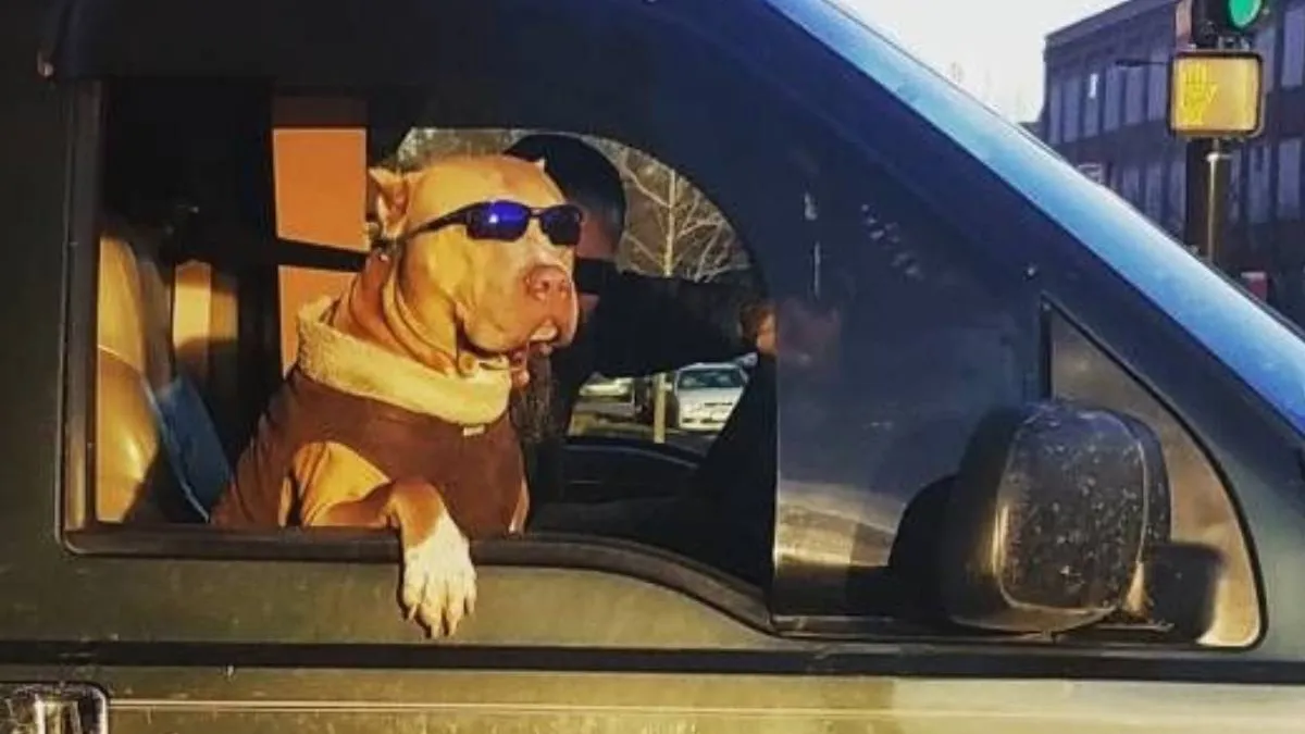 thumb_pixdump_2017-1