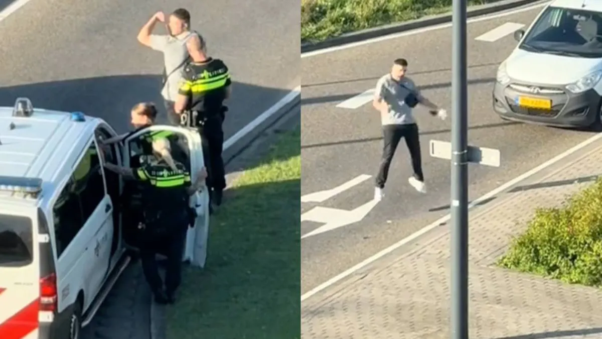 thumb_schiedam-madness