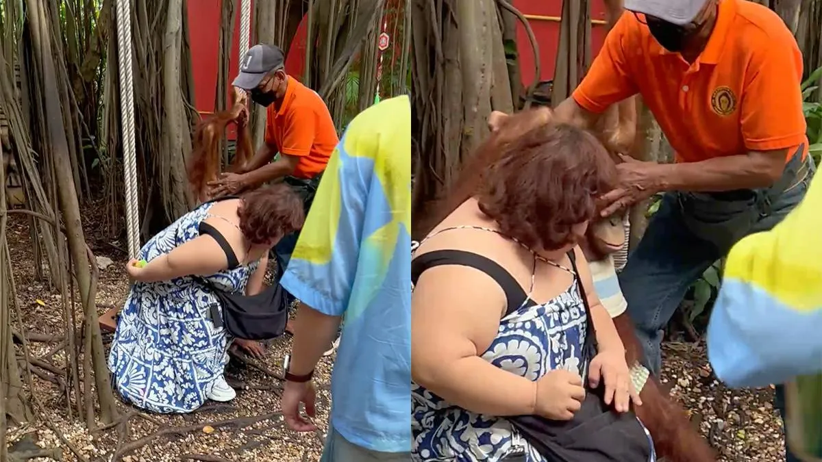 thumb_vk_Aap_is_in_een_klap_de_topattractie_van_Safari_World_in_Thailand